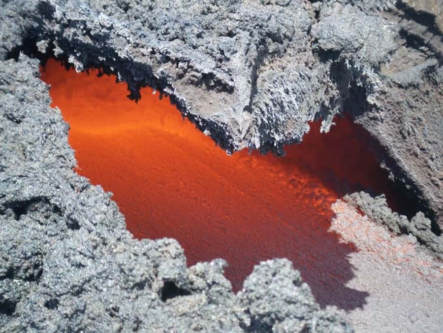 From Antigua: Pacaya Volcano Day Hike - Marshmallows over a natural heat vent