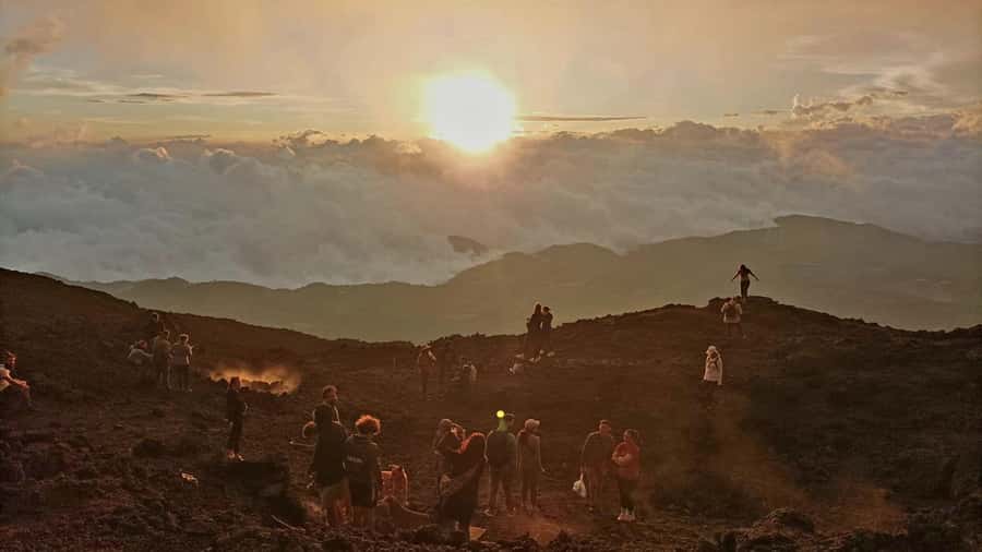 From Antigua: Pacaya Volcano Tour in English/Spanish - Forest, volcano views, and hardened lava