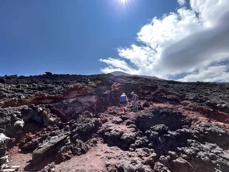 From Antigua: Pacaya Volcano Tour in English/Spanish - Steam vents and the marshmallow stop