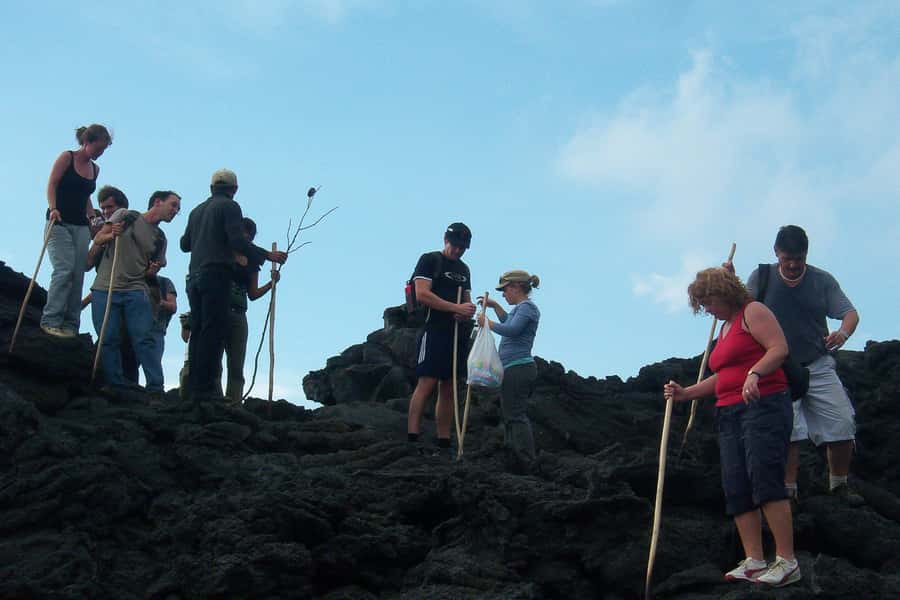 From Antigua: Pacaya Volcano Trek - A descent that is easier but not effortless