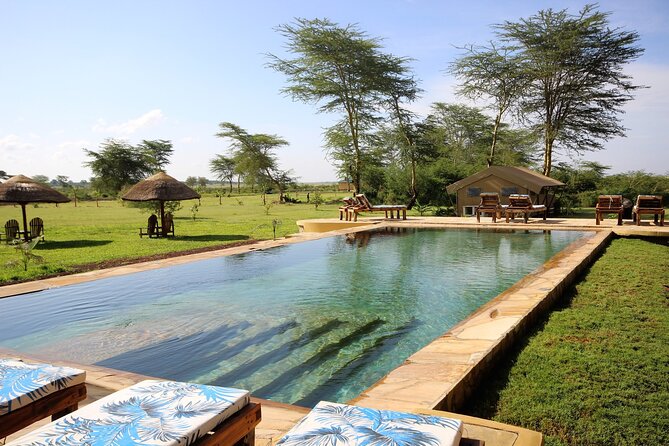 From Arusha: 5 Days Classic Safari Cats, Calves & Crater - Why this five-day route works