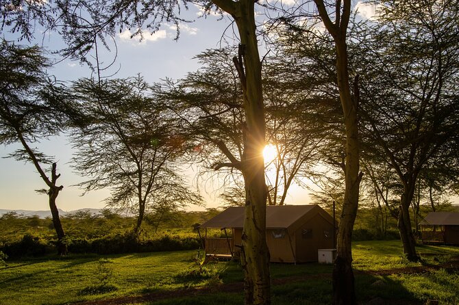 From Arusha: 5 Days Classic Safari Cats, Calves & Crater - Day 3: A full day around Lake Ndutu