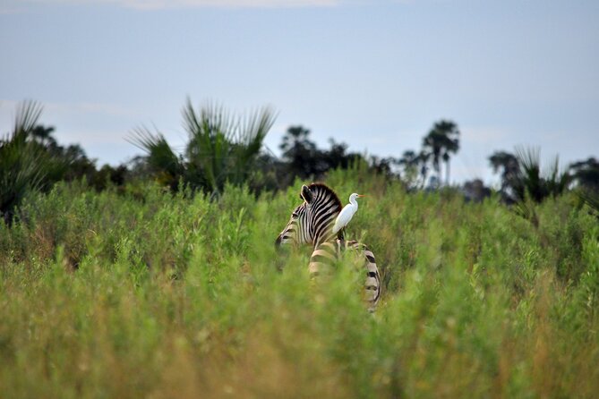 From Arusha: Tarangire and Ngorongoro Crater 3-Day Private Safari - Day two: descending into Ngorongoro Crater