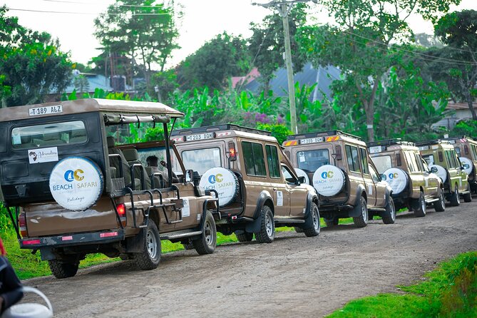 From Arusha: Tarangire and Ngorongoro Crater 3-Day Private Safari - Private transport and the role of your guide
