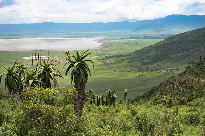 From Arusha: Tarangire and Ngorongoro Crater 3-Day Private Safari - Who should book this safari?