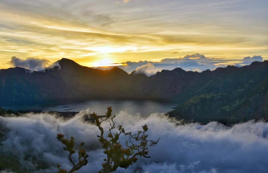 From Bali : Ijen Crater Tour From Canggu, Kuta, Bali - Who should book this trip?