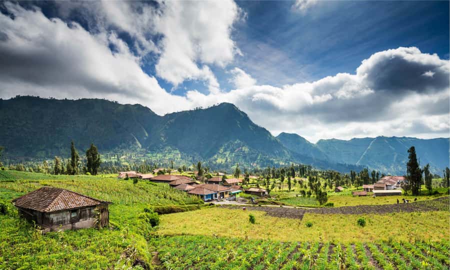 From Bali: Mount Bromo and Blue Fire Ijen Crater 3-Day Tour - Day two: the sulfur world of Mount Ijen