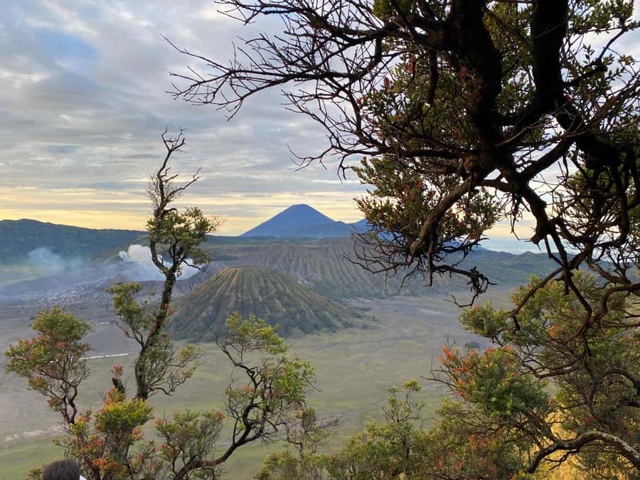 From Bali: Mount Bromo & Ijen volcanic private tour - From Bali to Java by ferry