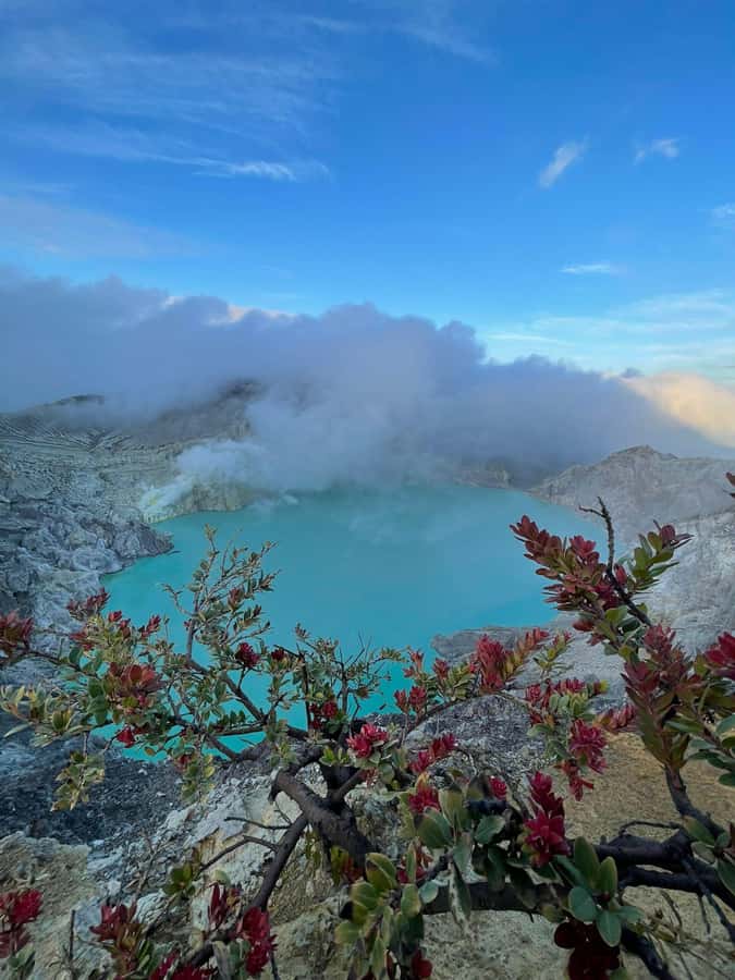 From Bali : Mount Ijen Blue-fire Volcano Tour - Reaching the Ijen Trailhead