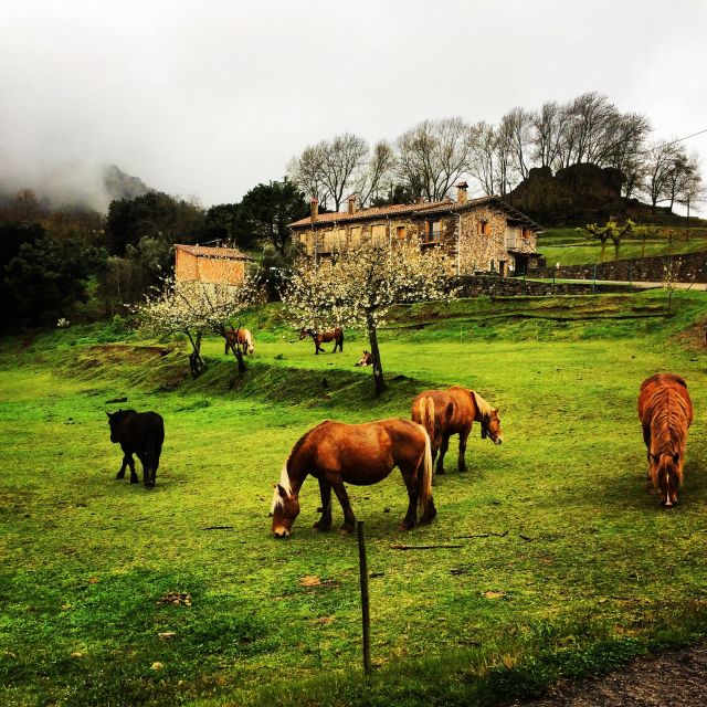 From Barcelona: Medieval Villages and Volcanic Hiking Tour - What makes this Catalonia day trip worthwhile