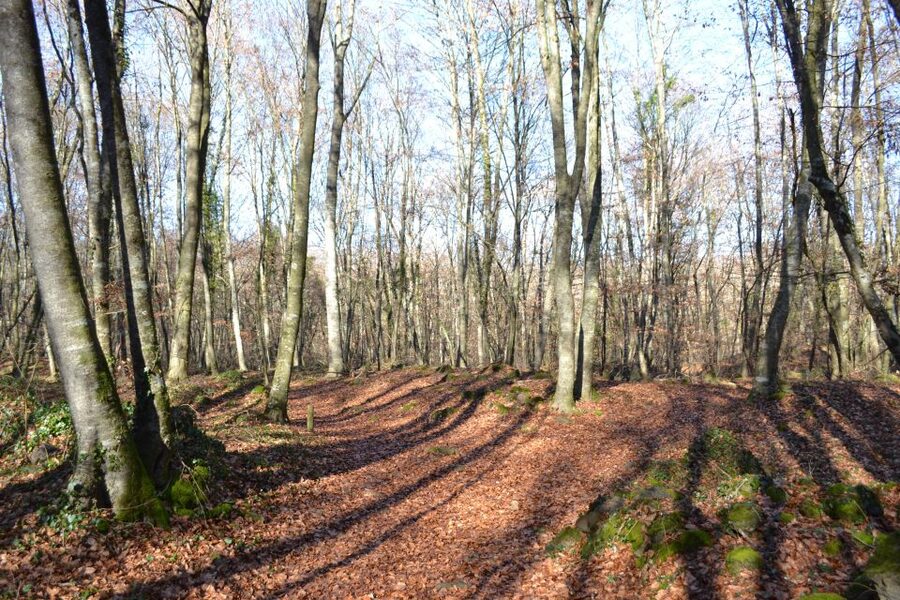 From Barcelona: Medieval Villages and Volcanic Hiking Tour - Hiking across three lava flows