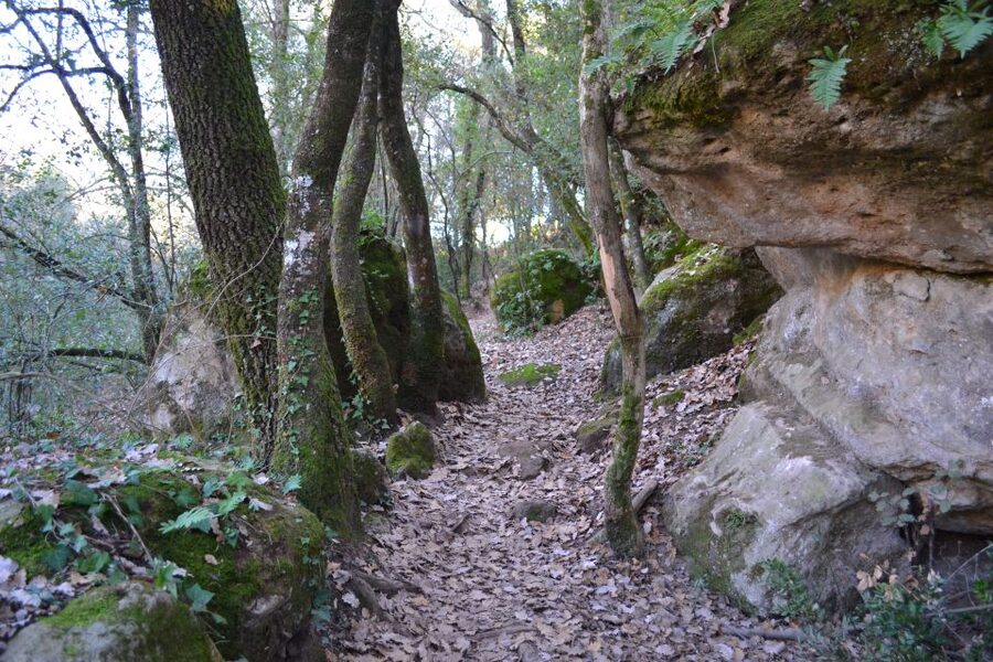 From Barcelona: Medieval Villages and Volcanic Hiking Tour - What the small group changes