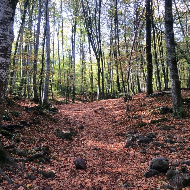From Barcelona: Medieval Villages and Volcanic Hiking Tour - Who should book this experience