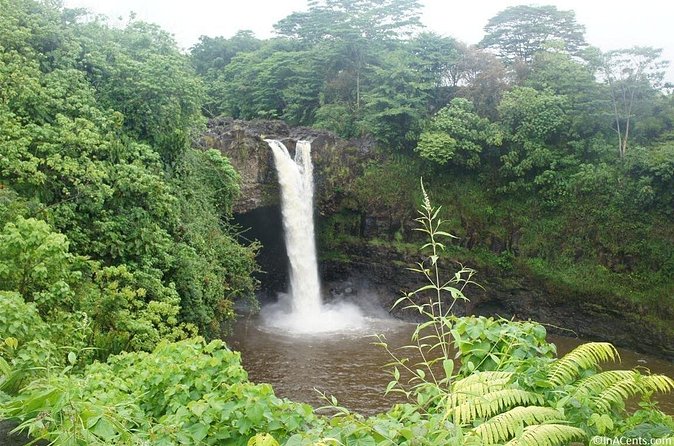 From Big island Hilo Volcanoes and Waterfalls Shared Tour - Rainbow Falls and the Story of Hina