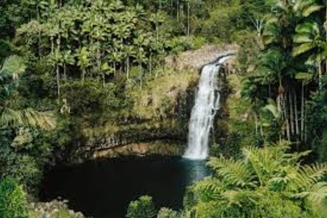 From Big island Kona Volcanoes and Waterfalls Shared Tour - The drive toward Hilo and Banyan Drive