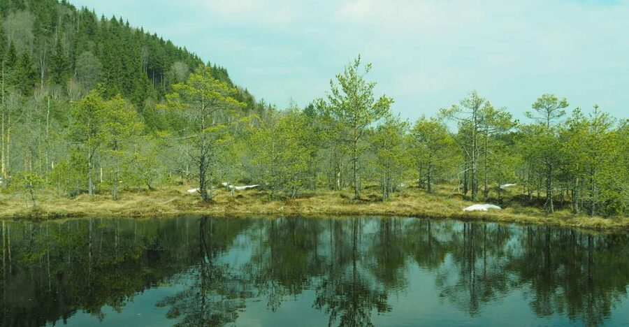 From Brasov: Small-Group Volcanic Lake Day Trip - Key points to know before booking