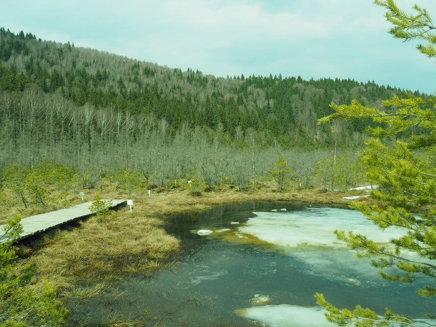 From Brasov: Small-Group Volcanic Lake Day Trip - Balvanyos, the Stinky Caves, and the Bird Cemetery