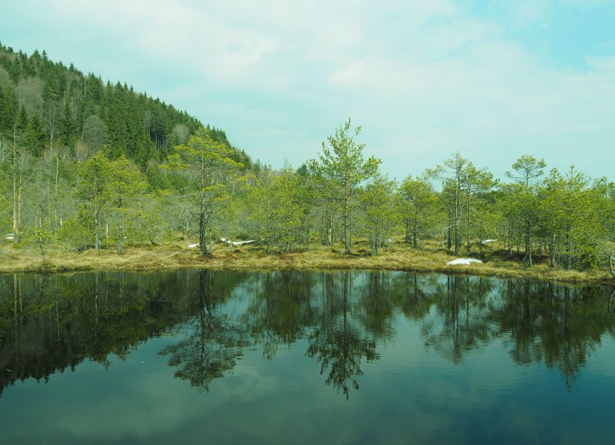 From Brasov: Small-Group Volcanic Lake Day Trip - The drive from Brasov to the Ciomat Mountains