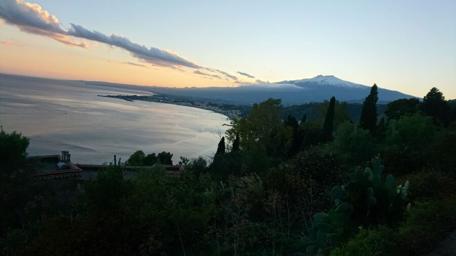 From Catania: Guided Tour of Mount Etna and Taormina - Who should book this day trip?