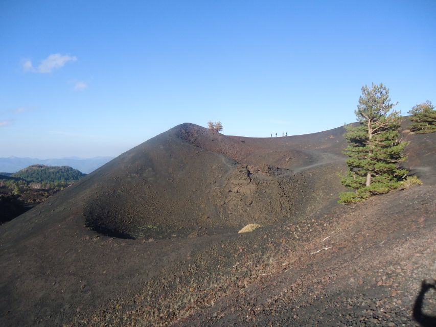 From Catania: Mount Etna Half-Day Tour and Wine Experience - Value, group size, and who should book