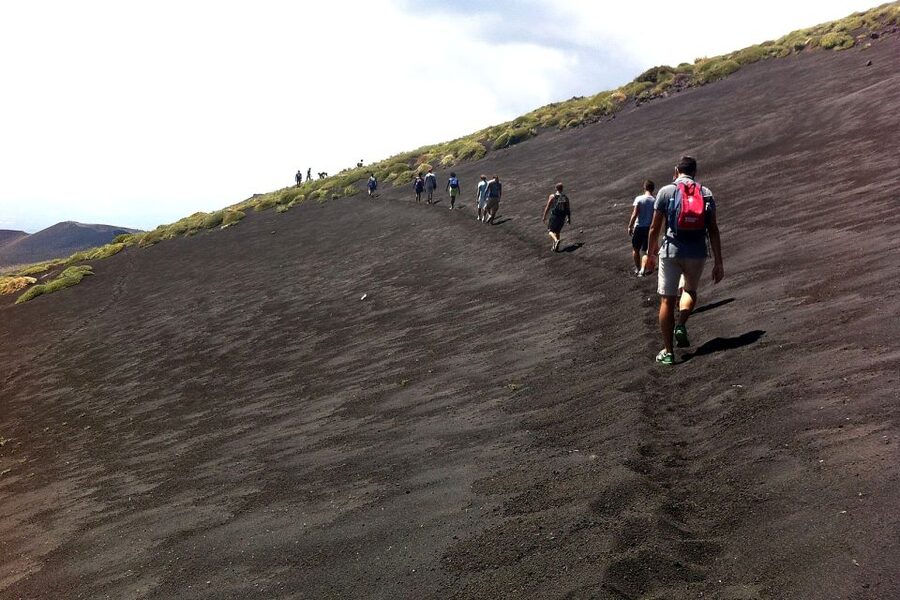 From Catania: Mount Etna Half-Day Tour and Wine Experience - Zafferana Etnea and the taste of volcanic Sicily