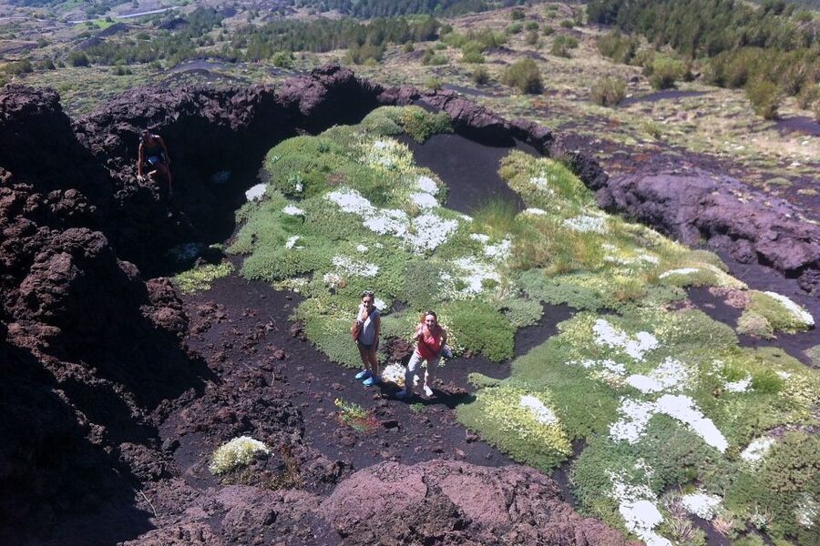 From Catania: Mount Etna Half-Day Tour and Wine Experience - What makes the guides important