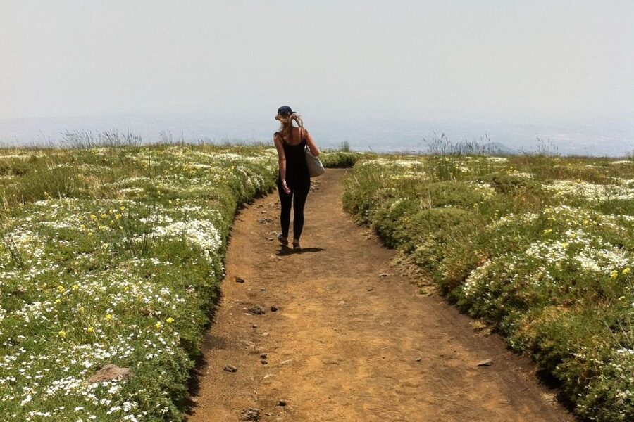 From Catania: Mount Etna Half-Day Tour and Wine Experience - Weather, clothing, and comfort tips