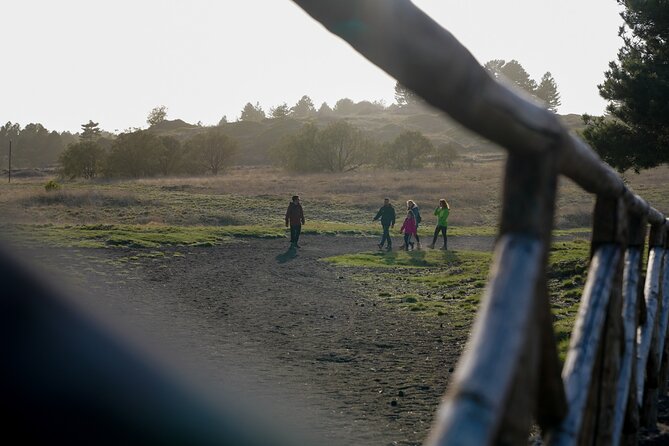 From Catania: Private mt. Etna trekking and pic-nic - Why this private Etna hike works well from Catania