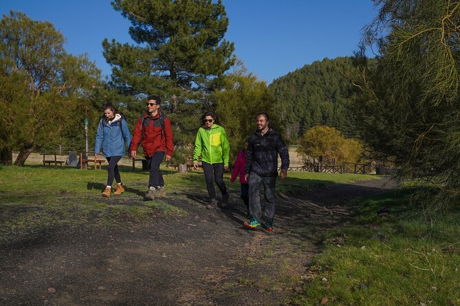 From Catania: Private mt. Etna trekking and pic-nic - What the private format means in practice