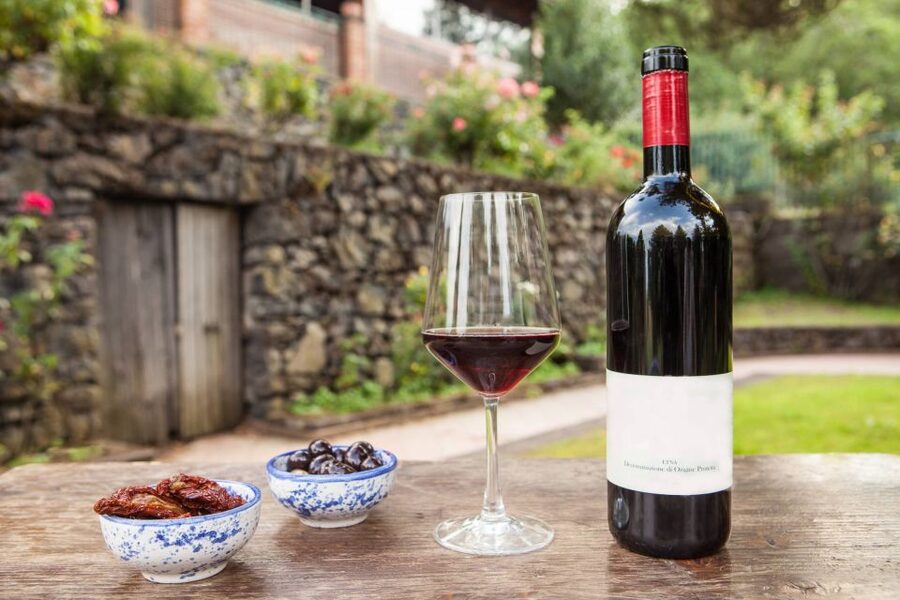 From Catania/Taormina: Mount Etna Private Wine Tasting Tour - Key points to know before you book