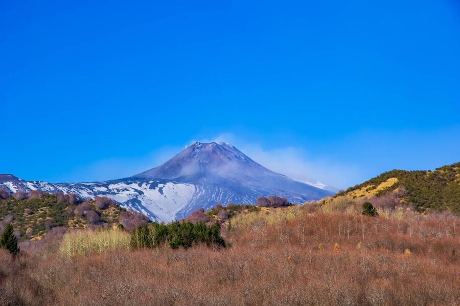 From Catania/Taormina: Mount Etna Private Wine Tasting Tour - Who should book this private Etna outing?