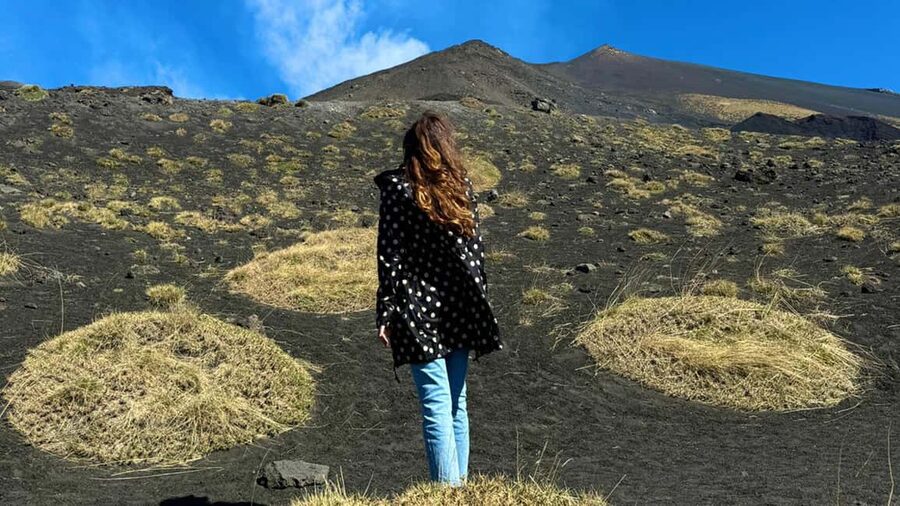 From Catania: trek on Mount Etna, Lava Cave & tasting Tour - The essential details at a glance