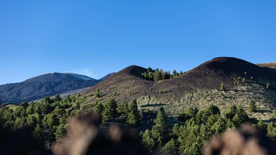 From Catania: trek on Mount Etna, Lava Cave & tasting Tour - Weather, clothing, and the best kind of participant
