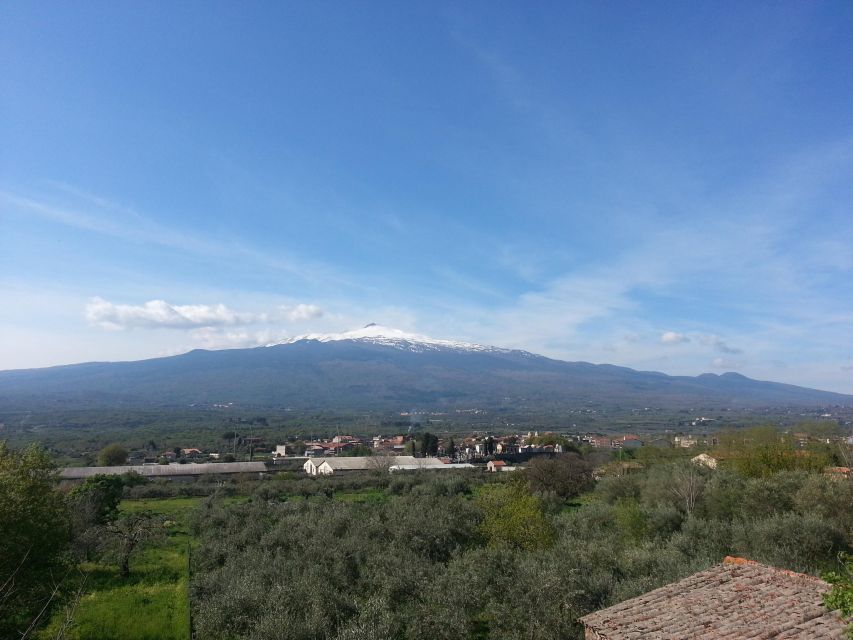 From Cefalù : Etna & Taormina guided tour full day - Who will enjoy this day most?