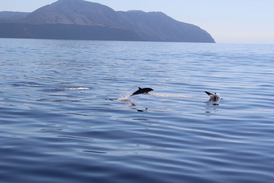 From Cefalù: Salina, Panarea, Stromboli Tour with Boat Ride - FAQ