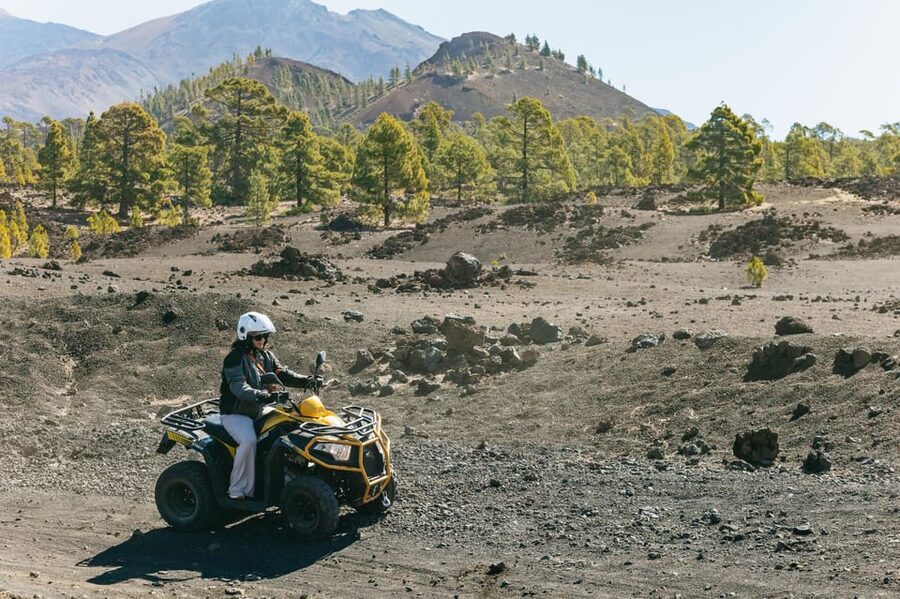From Costa Adeje: Mount Teide Forest Off-Road Quad Bike Tour - Key points at a glance
