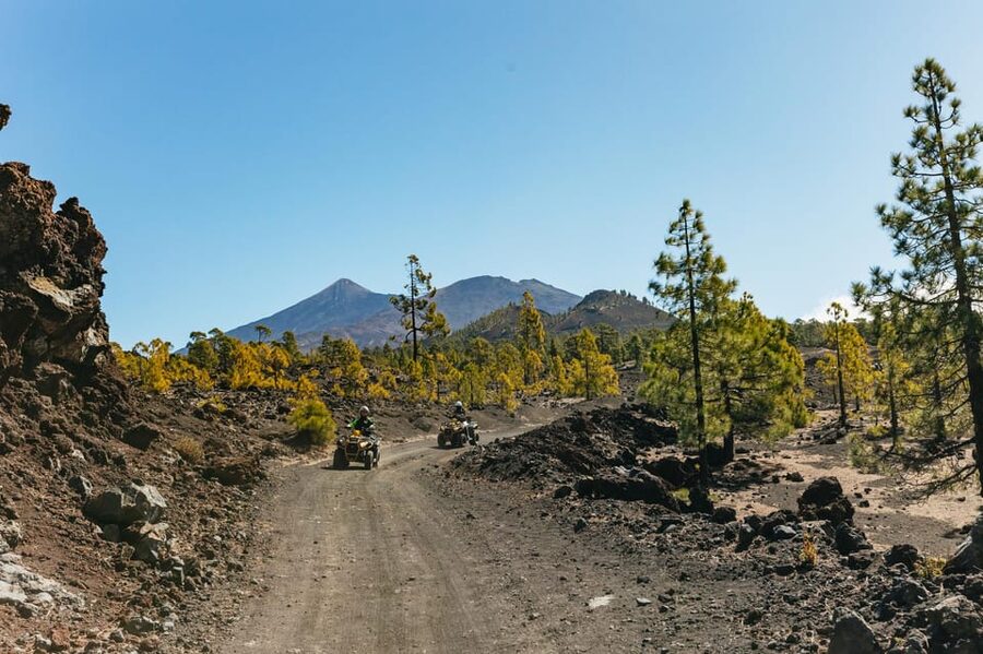 From Costa Adeje: Mount Teide Forest Off-Road Quad Bike Tour - The first public-road section