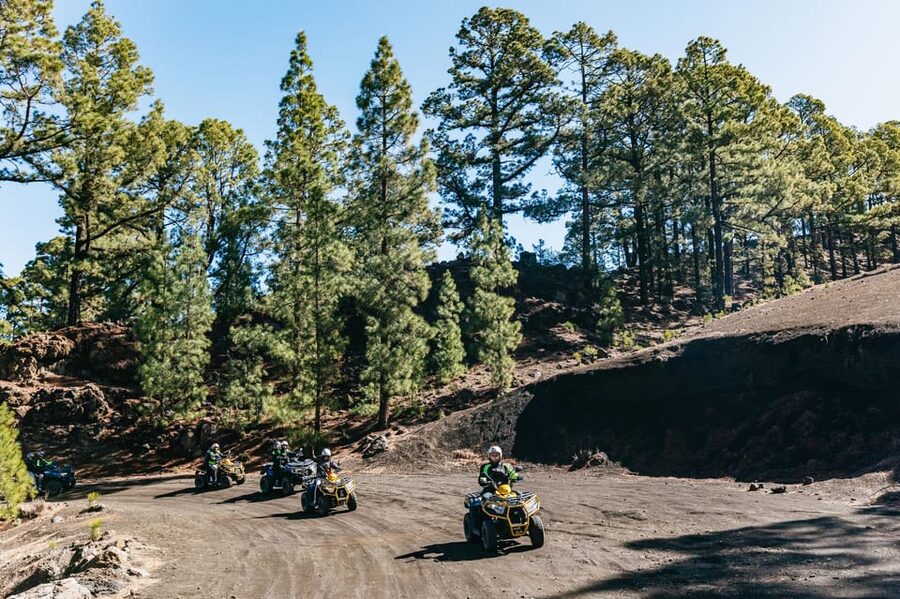 From Costa Adeje: Mount Teide Forest Off-Road Quad Bike Tour - What the forest feels like in changing weather
