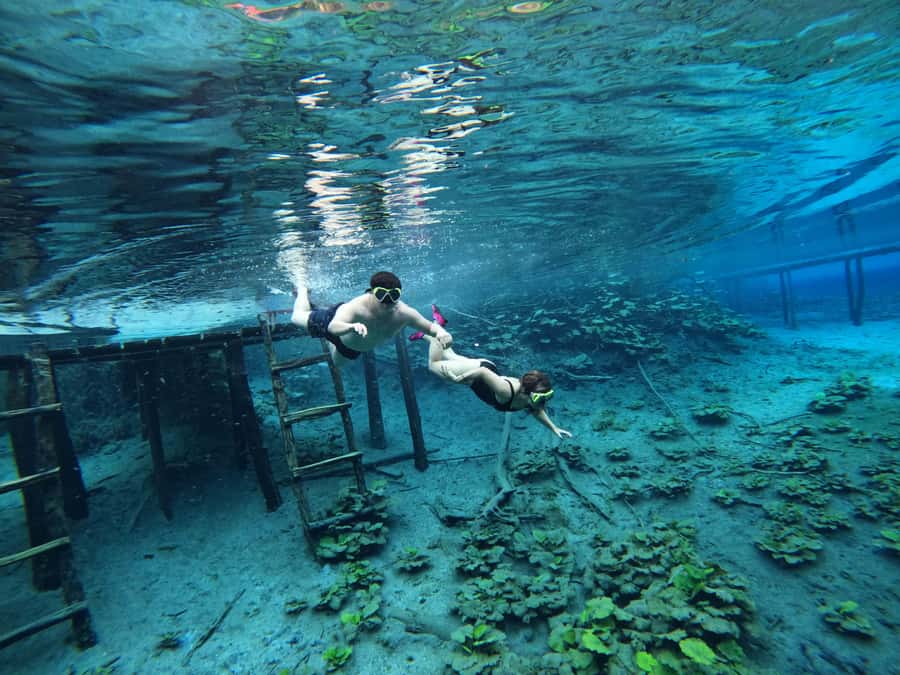 From Flores: Blue Crater Adventure All Inclusive - Key Details Before You Book