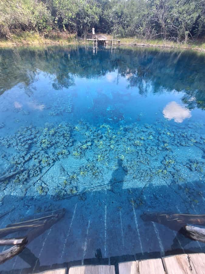 From Flores: Blue Crater Adventure All Inclusive - What the Blue Crater Trip Is Really Like