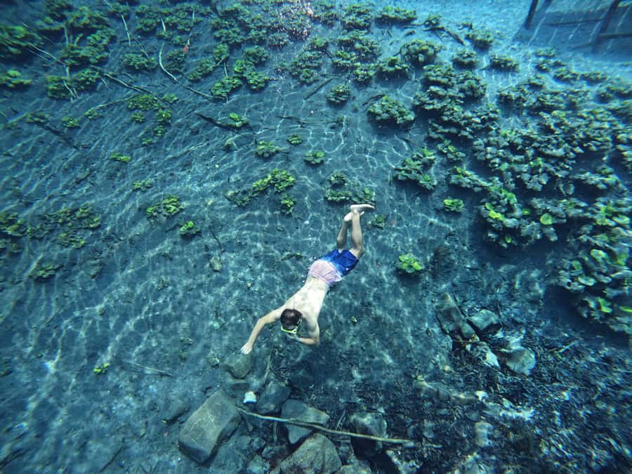 From Flores: Blue Crater Adventure All Inclusive - The Return to Flores and the Timing Question