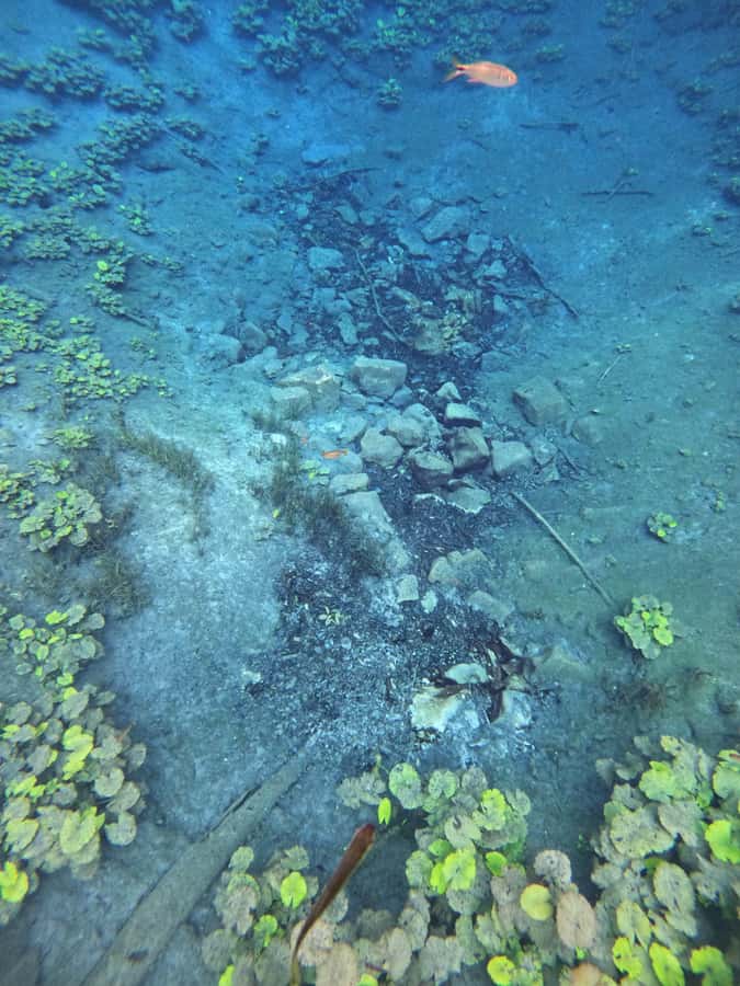From Flores: Blue Crater Adventure All Inclusive - Who Will Enjoy This Most?