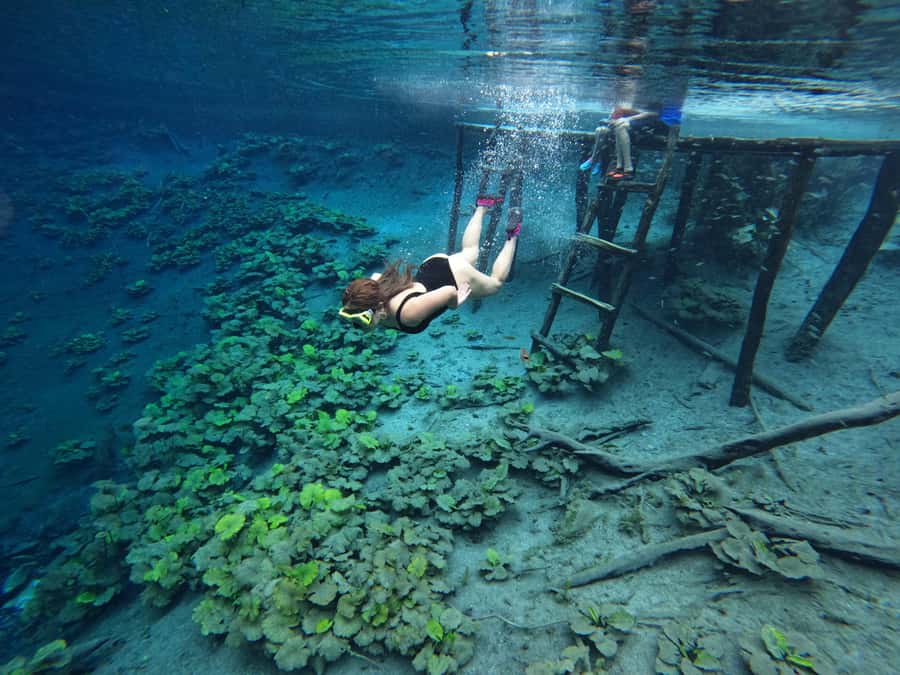 From Flores: Blue Crater Adventure All Inclusive - Leaving Flores at 8:00 am