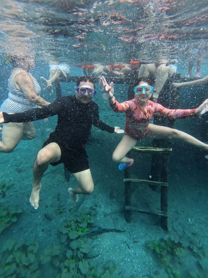 From Flores: Blue Crater private day tour - Key points to know before booking