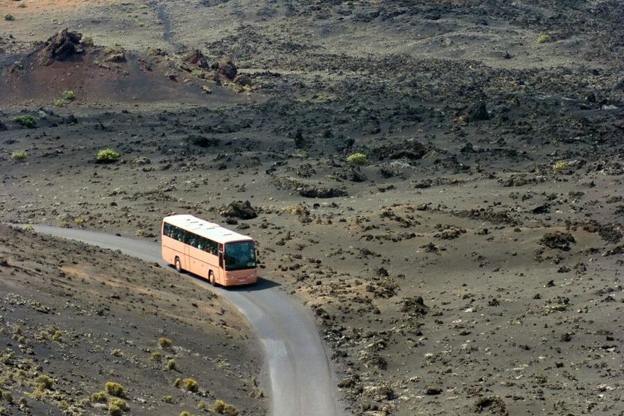From Fuerteventura: Lanzarote Volcano and Wine Region Tour - How good is the $98 value?