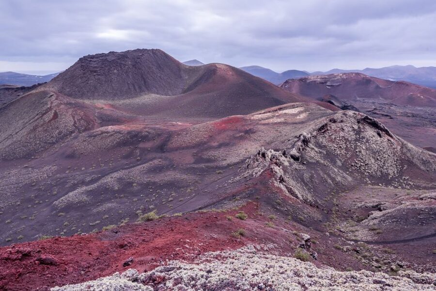 From Fuerteventura: Lanzarote Volcano and Wine Region Tour - Who should book this Lanzarote day trip?
