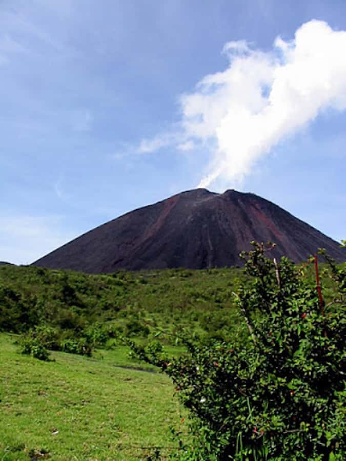 From Guatemala City or Antigua: Pacaya Volcano Day Tour - Why Pacaya makes a good half-day adventure