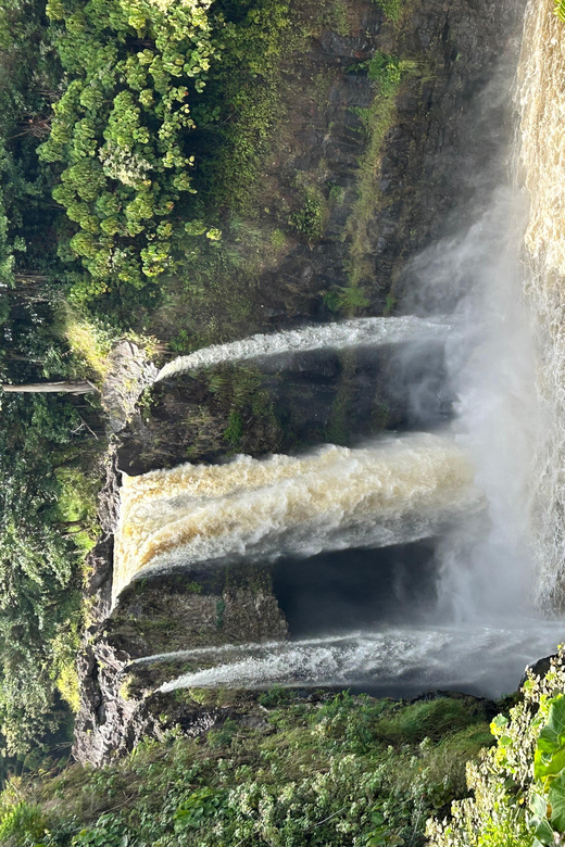 From Hilo: Hawaii Volcanoes National Park Tour - FAQ