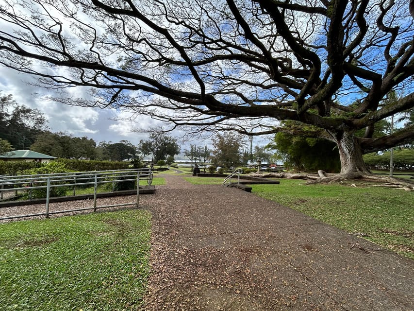From Hilo: Hawaii Volcanoes National Park Tour - Why this Hilo tour works well