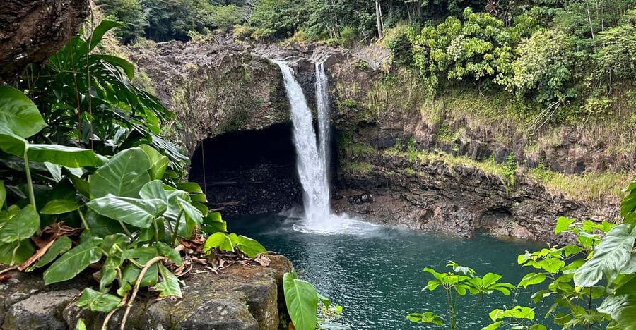 From Hilo: Hawaii Volcanoes National Park Tour - Guides, vehicles, and the value of $175